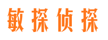 汾阳市调查公司